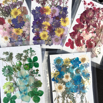 Pressed Flowers