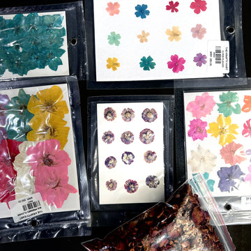 Other Pressed Flowers