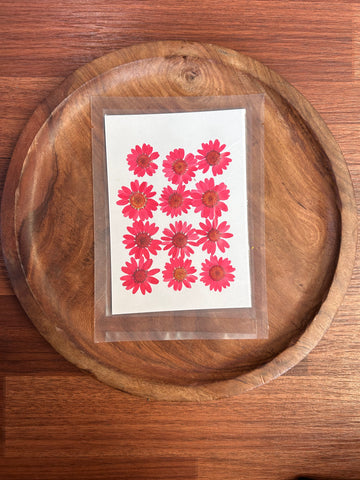 DAISY FLOWER - RED