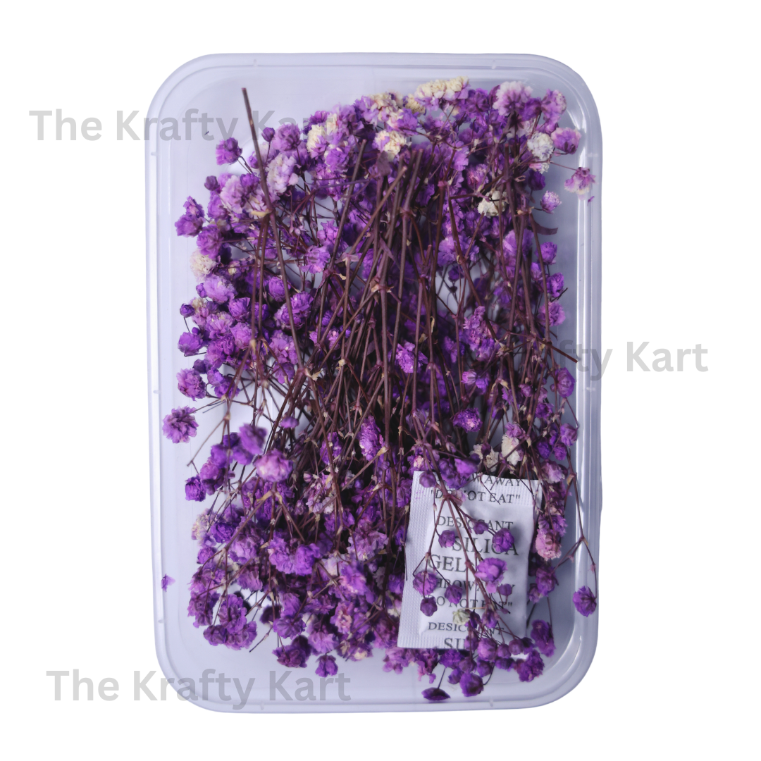Gypsy Dry Flower Box (Purple)