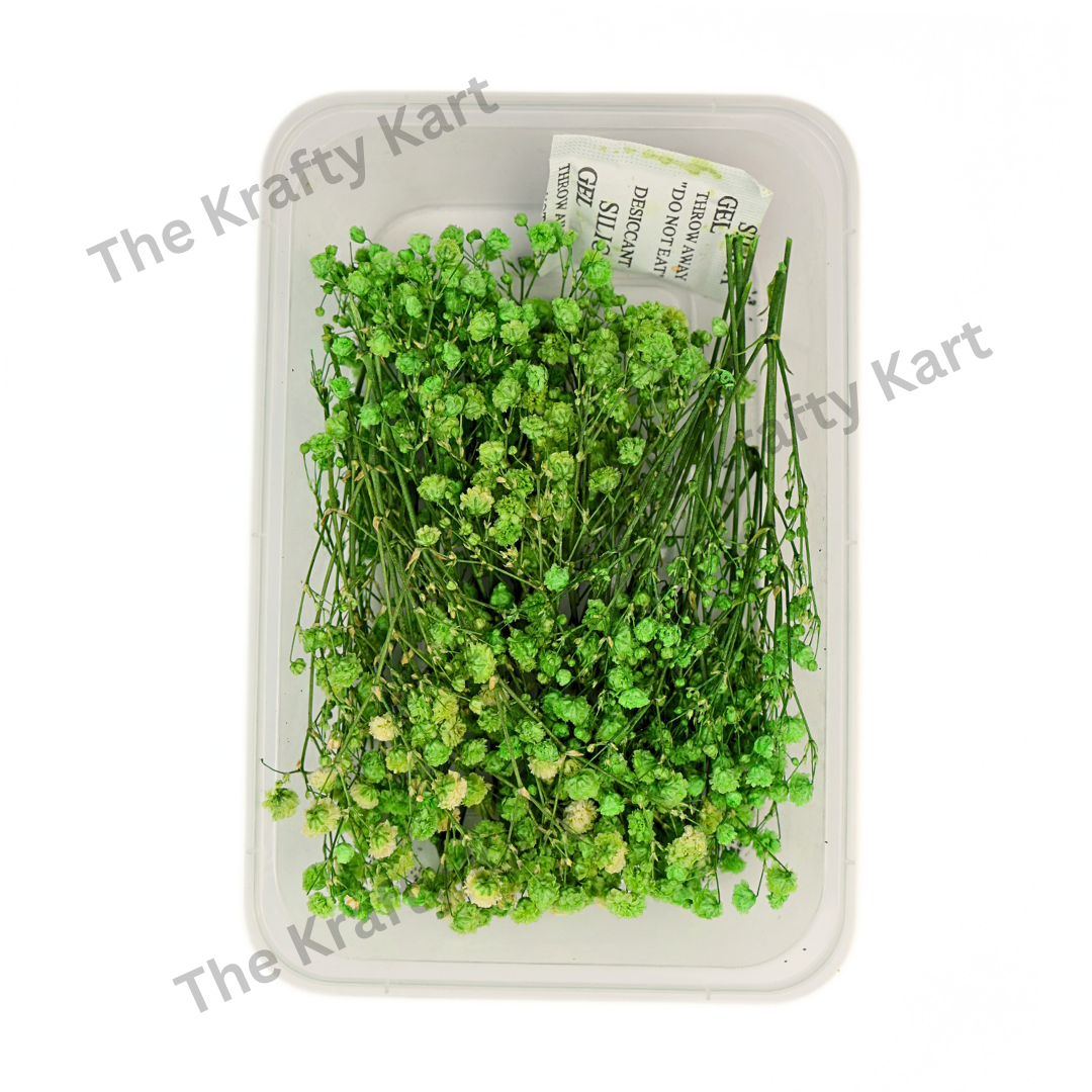 Gypsy Dry Flower Box (Green)