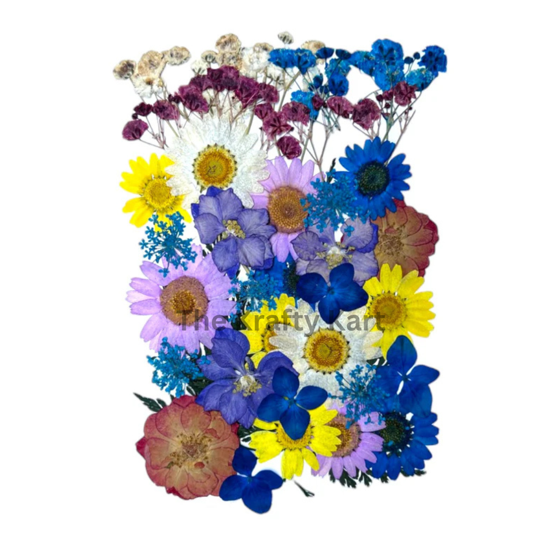 Pressed Flower  (C)