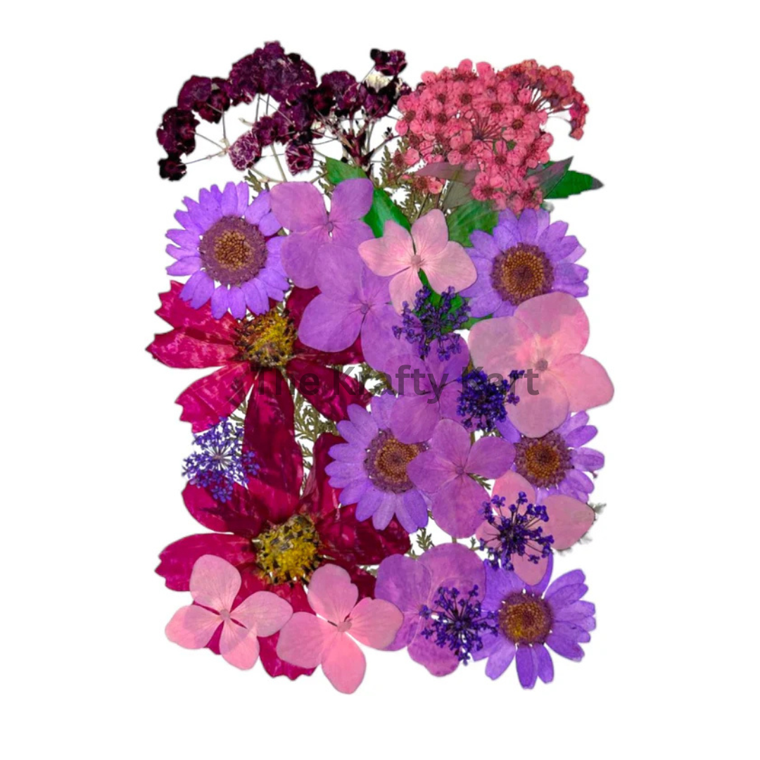 Pressed Flower  (D)