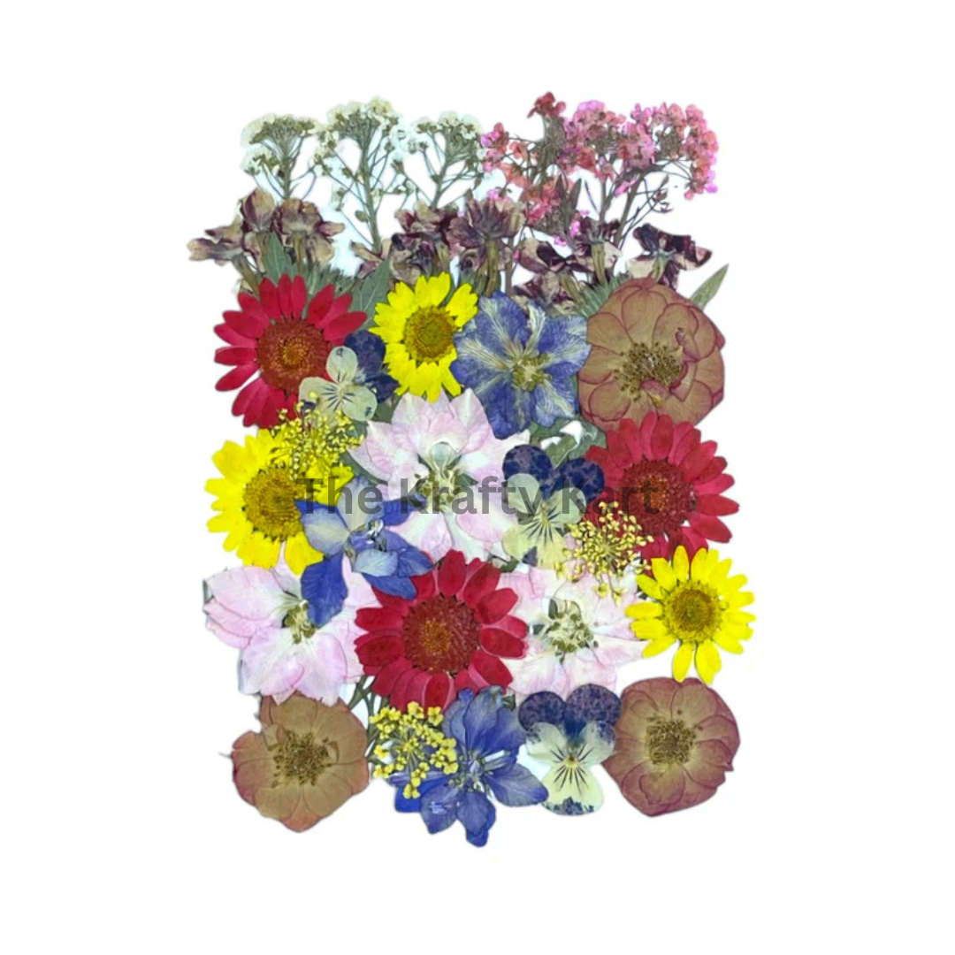 Pressed Flower  (E)