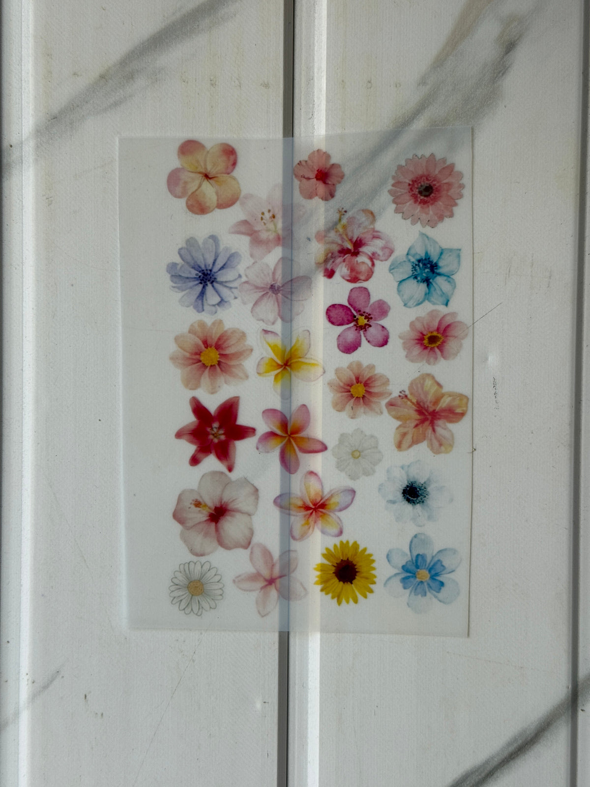 Flower Simple Insert Insert Sheet - Mini Flower for simple | Buy Online at Best Price