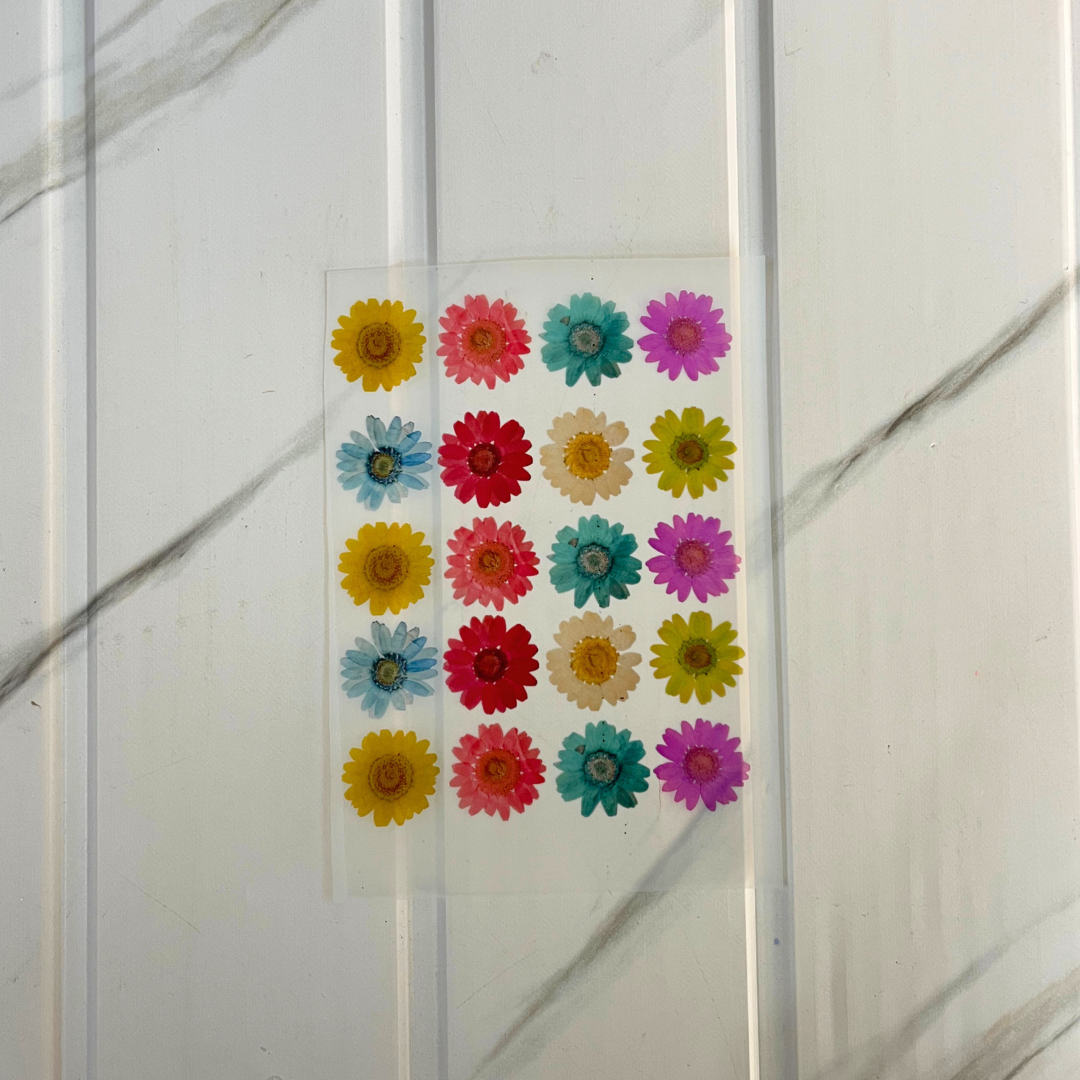 Flower Simple Insert Insert Sheet - Daisy Flower for simple | Buy Online at Best Price