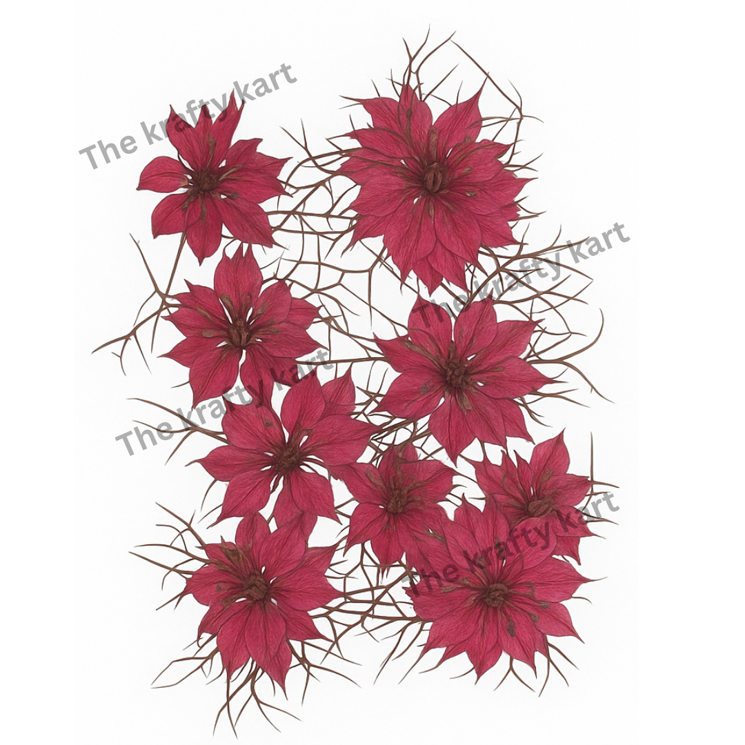 Nigella 2