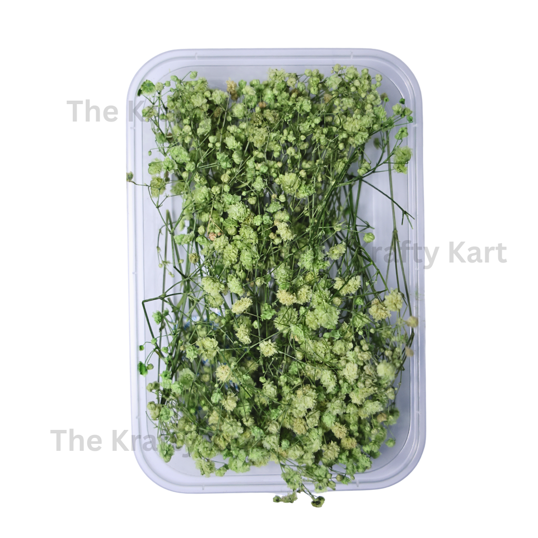 Gypsy Dry Flower Box (Green)