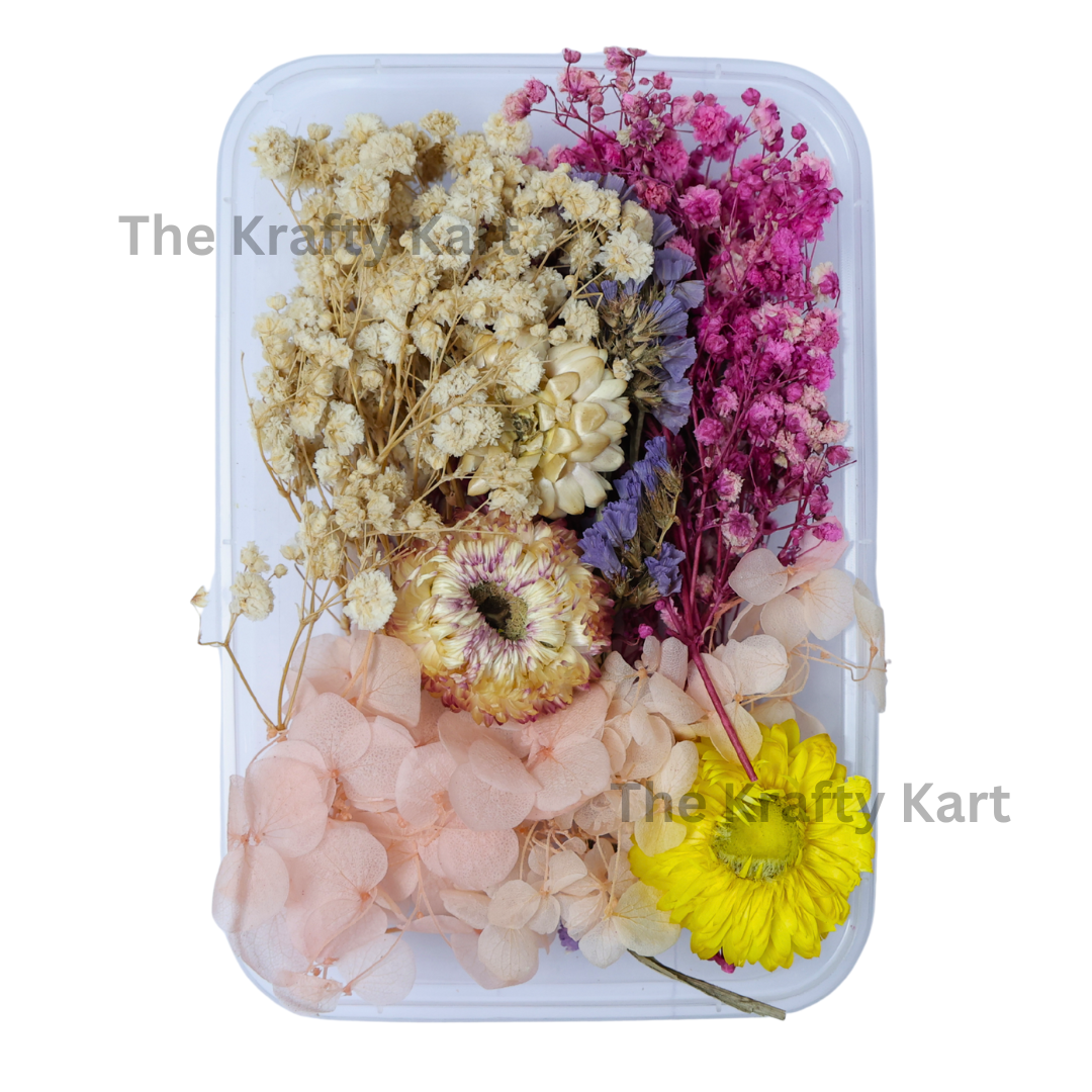 Dry Flower Box (D)