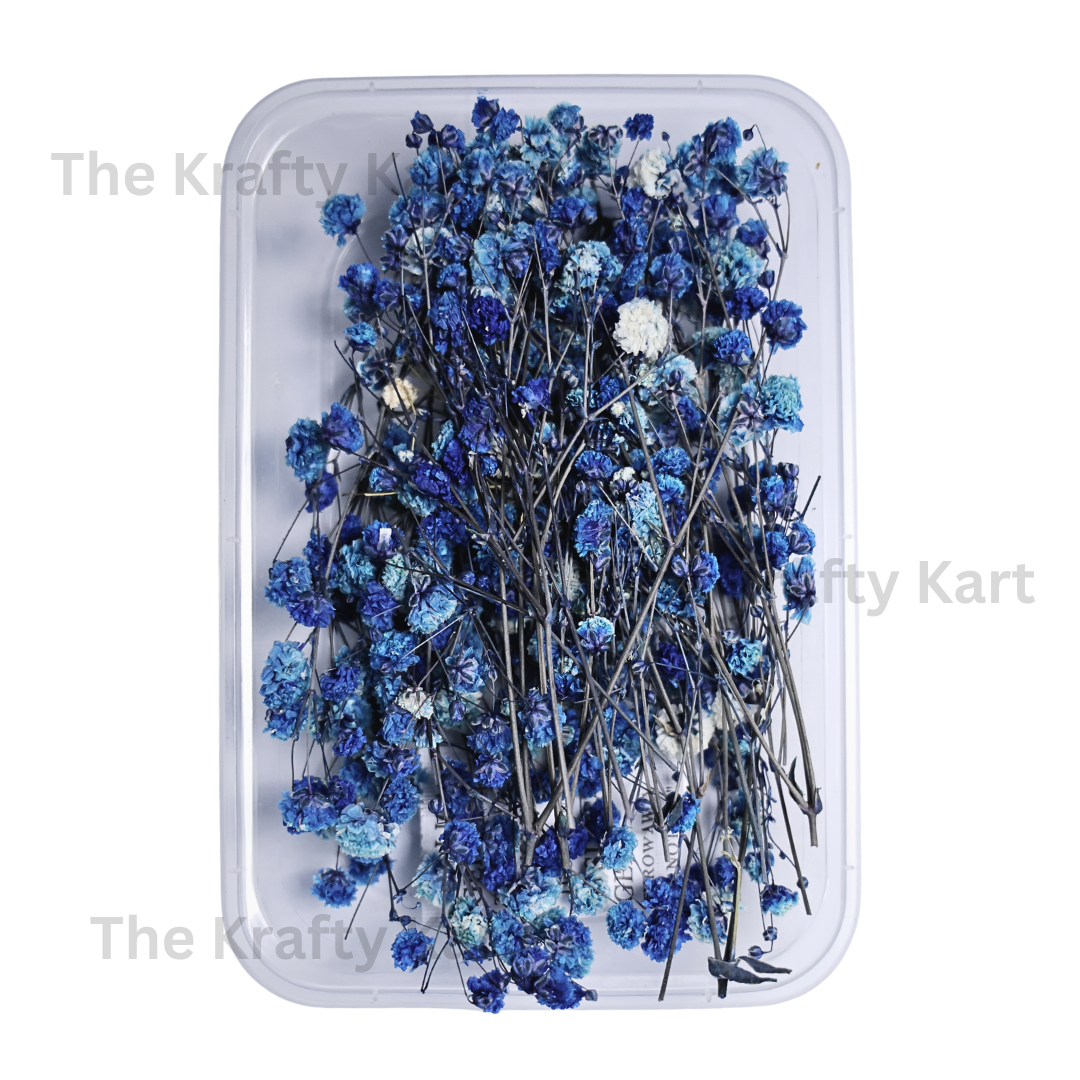 Gypsy Dry Flower Box (Dark Blue)