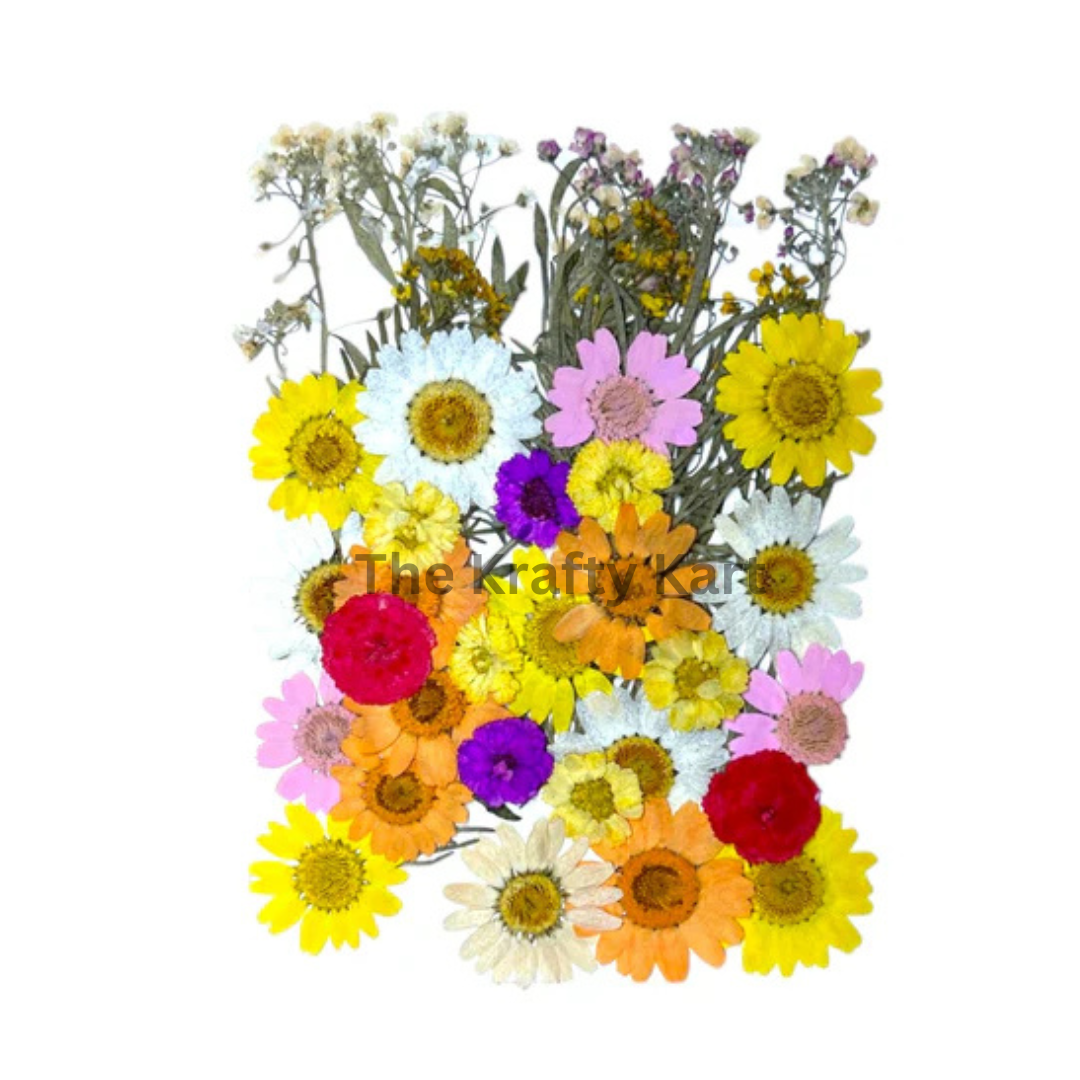 Pressed Flower (N)