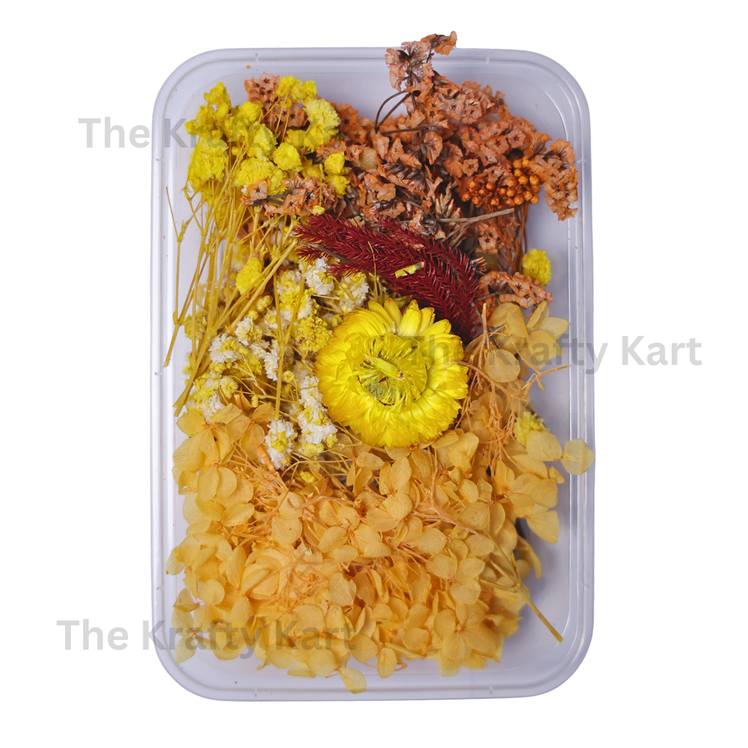 Dark Yellow Dry Flower Box