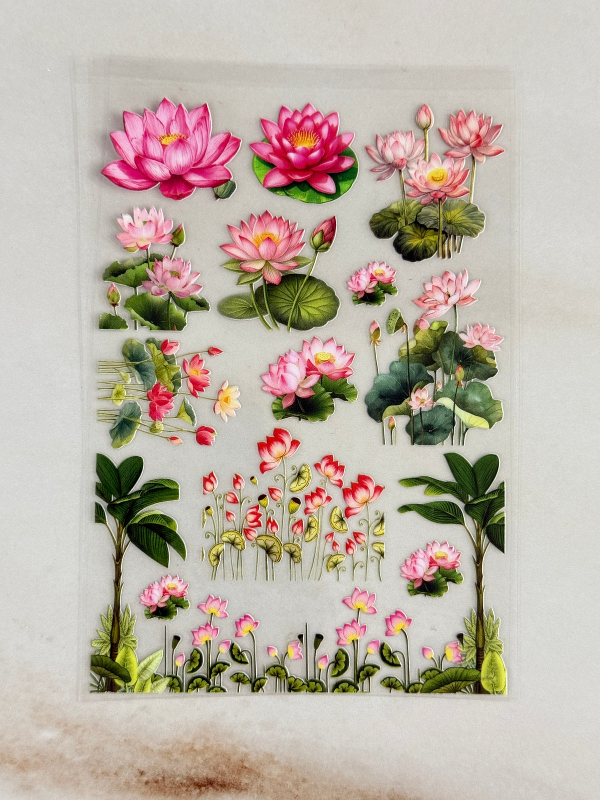 Lotus (10) - Peel Of Sticker