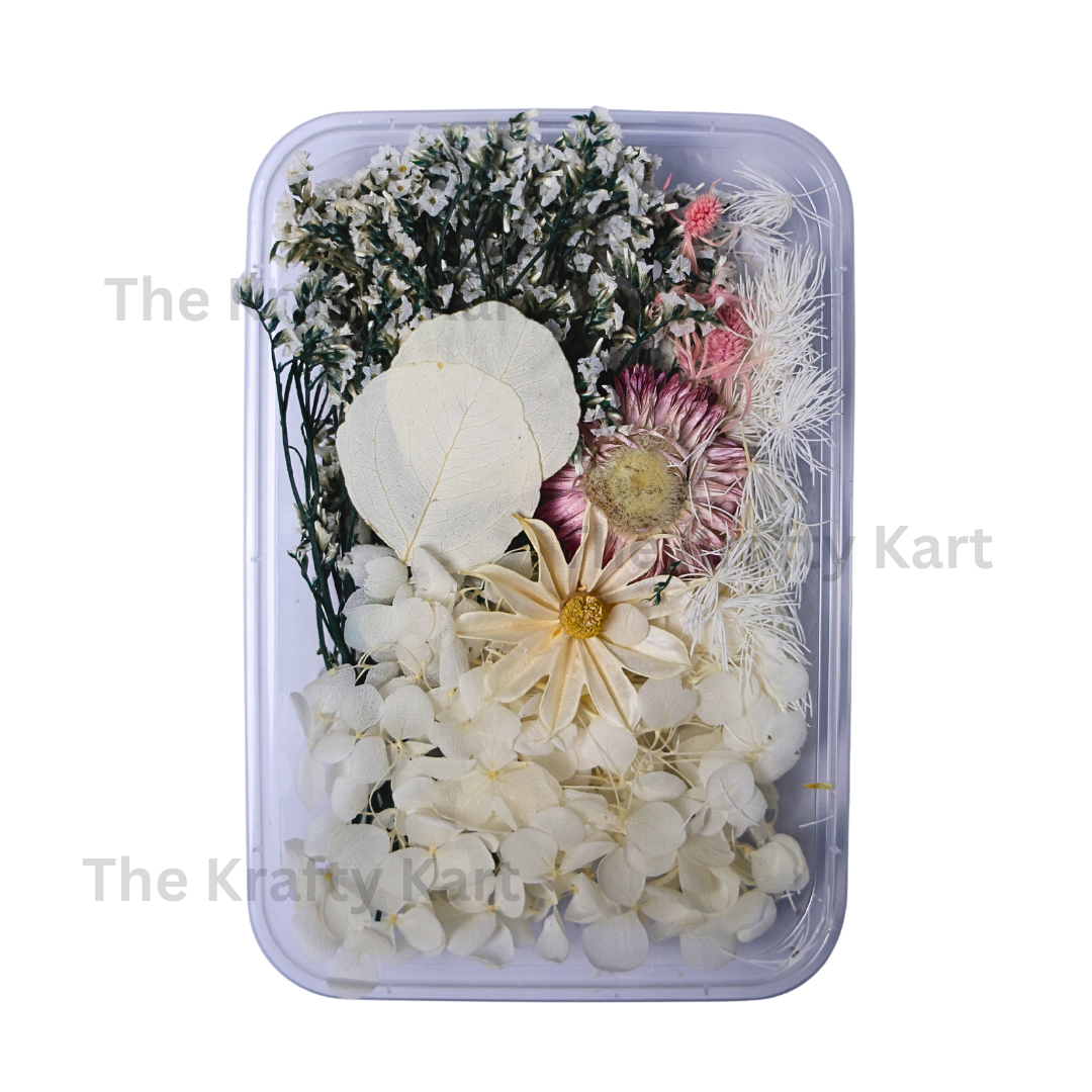 White Dry Flower Box