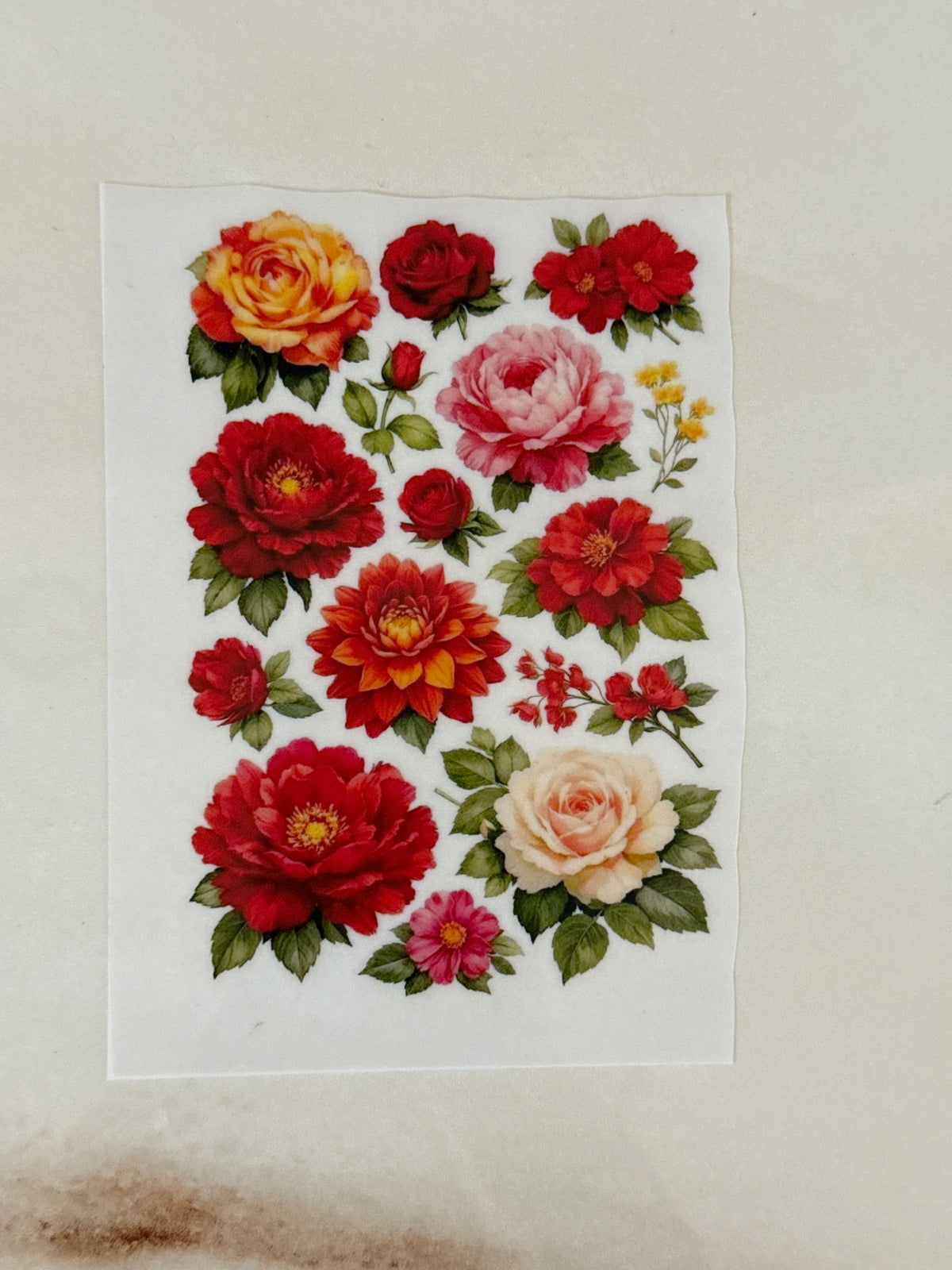 Insert Sheet - Flower (G)