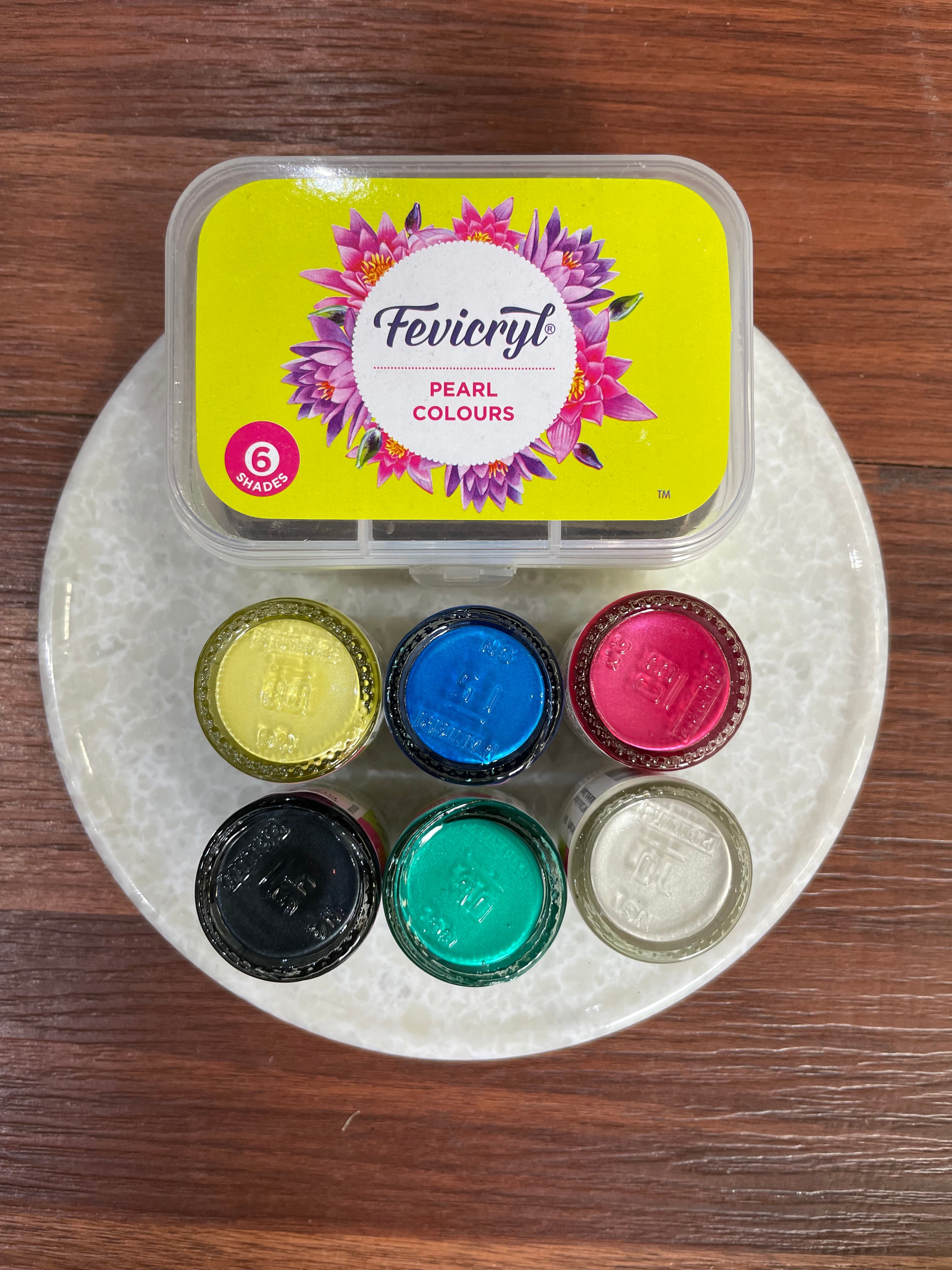 Fevicryl Acrylic Colours Kit (Set Of 6 Colours) | The Krafty Kart Resin ...