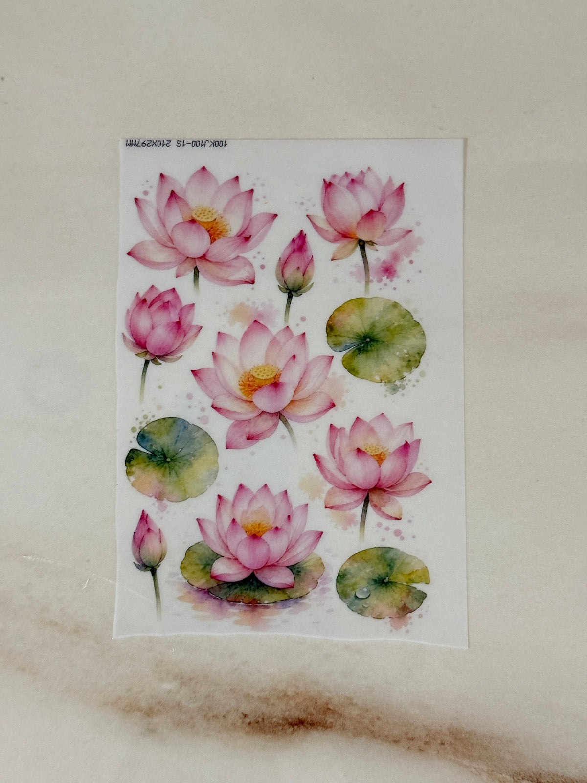 A6 Insert Sheet- Lotus (B)
