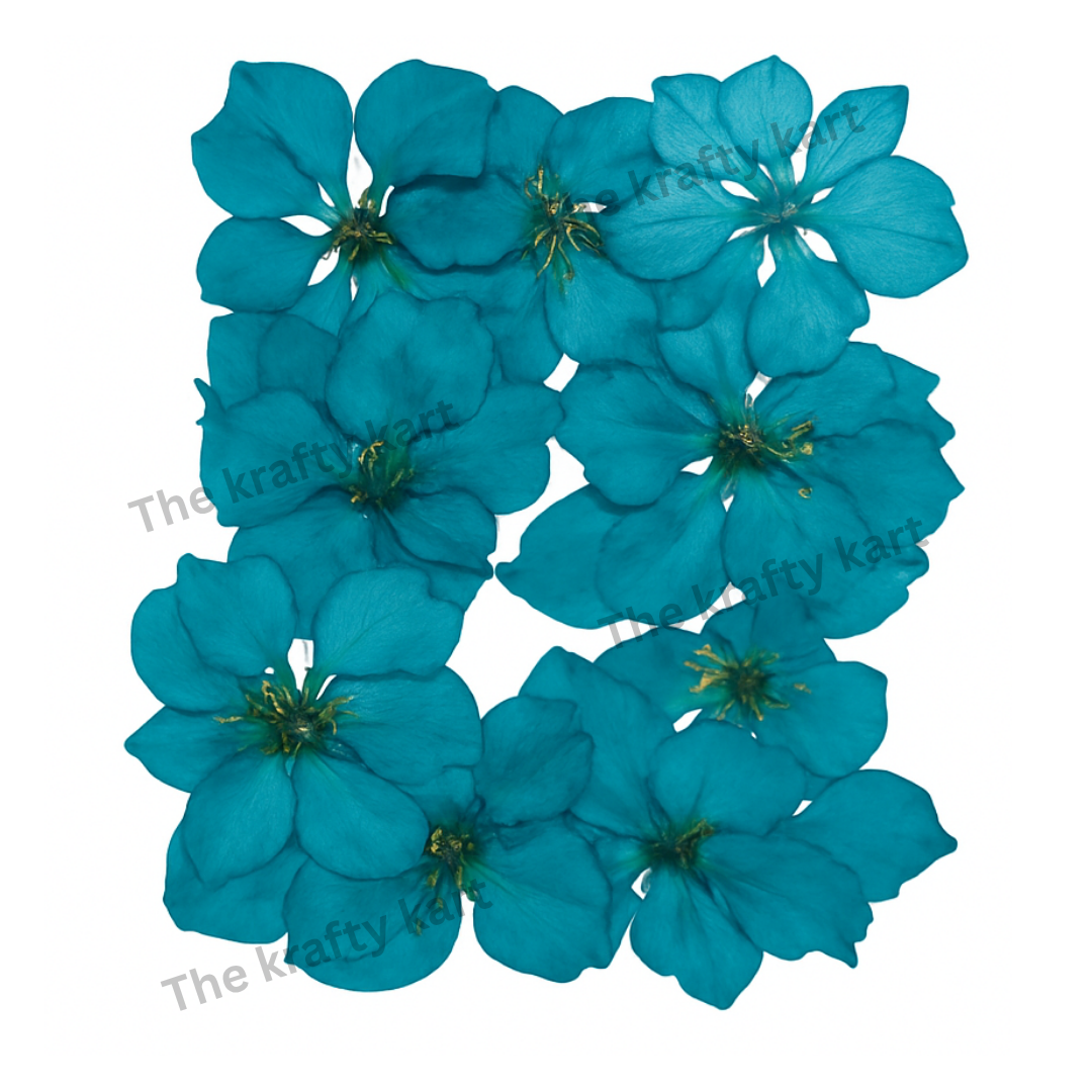 Larkspur 8