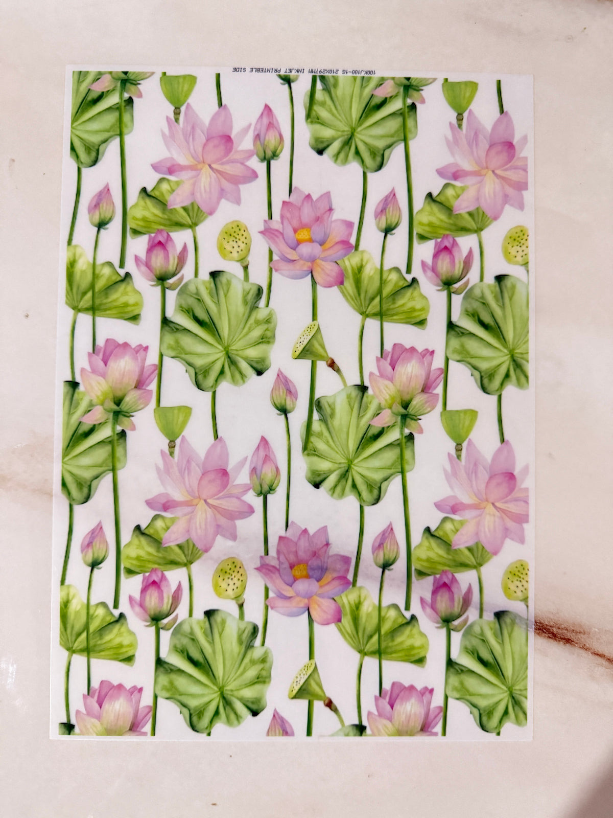 A4 Insert Sheet - Lotus (I)