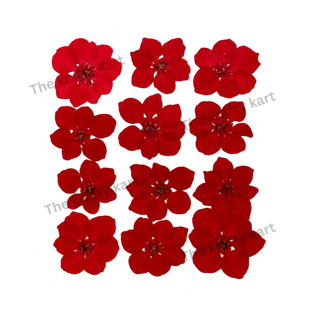 Larkspur 9