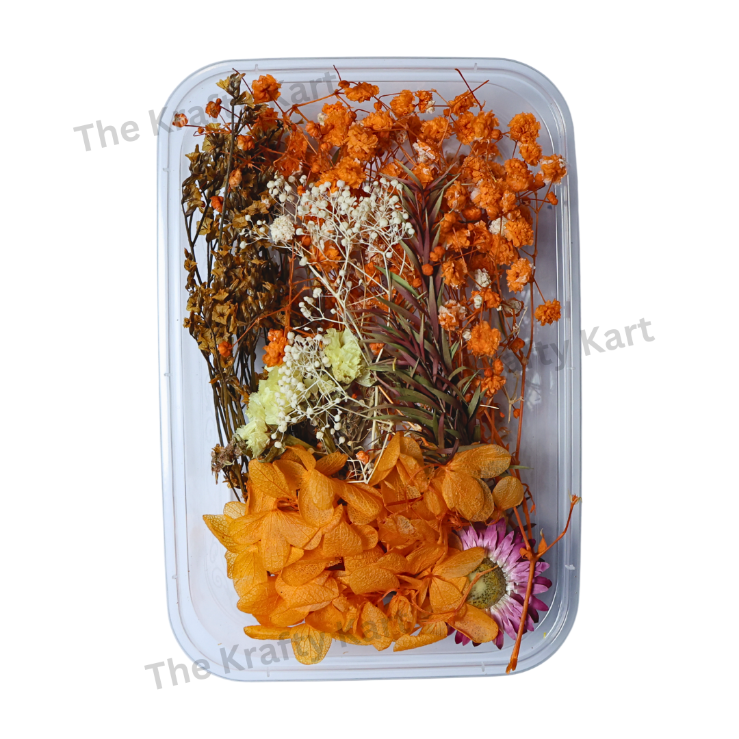 Orange Dry Flower Box