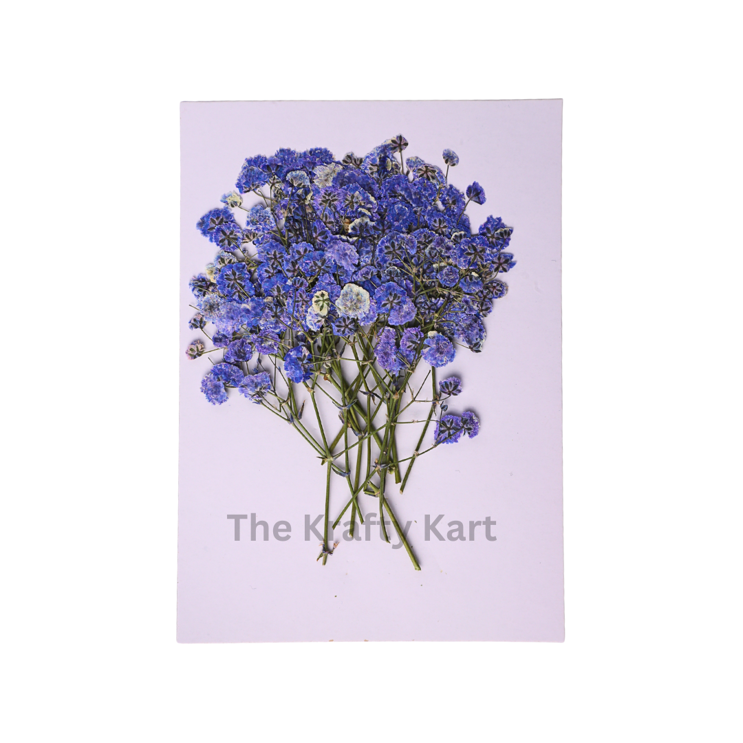 Baby Breath - Bluish Lavendar