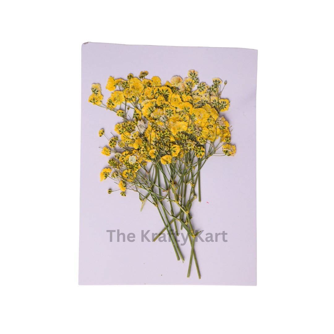 Baby Breath - Yellow