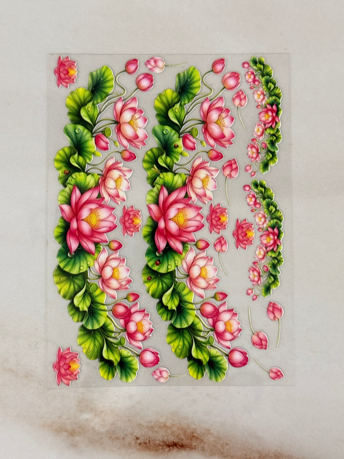 Lotus (X) - Peel Of Sticker