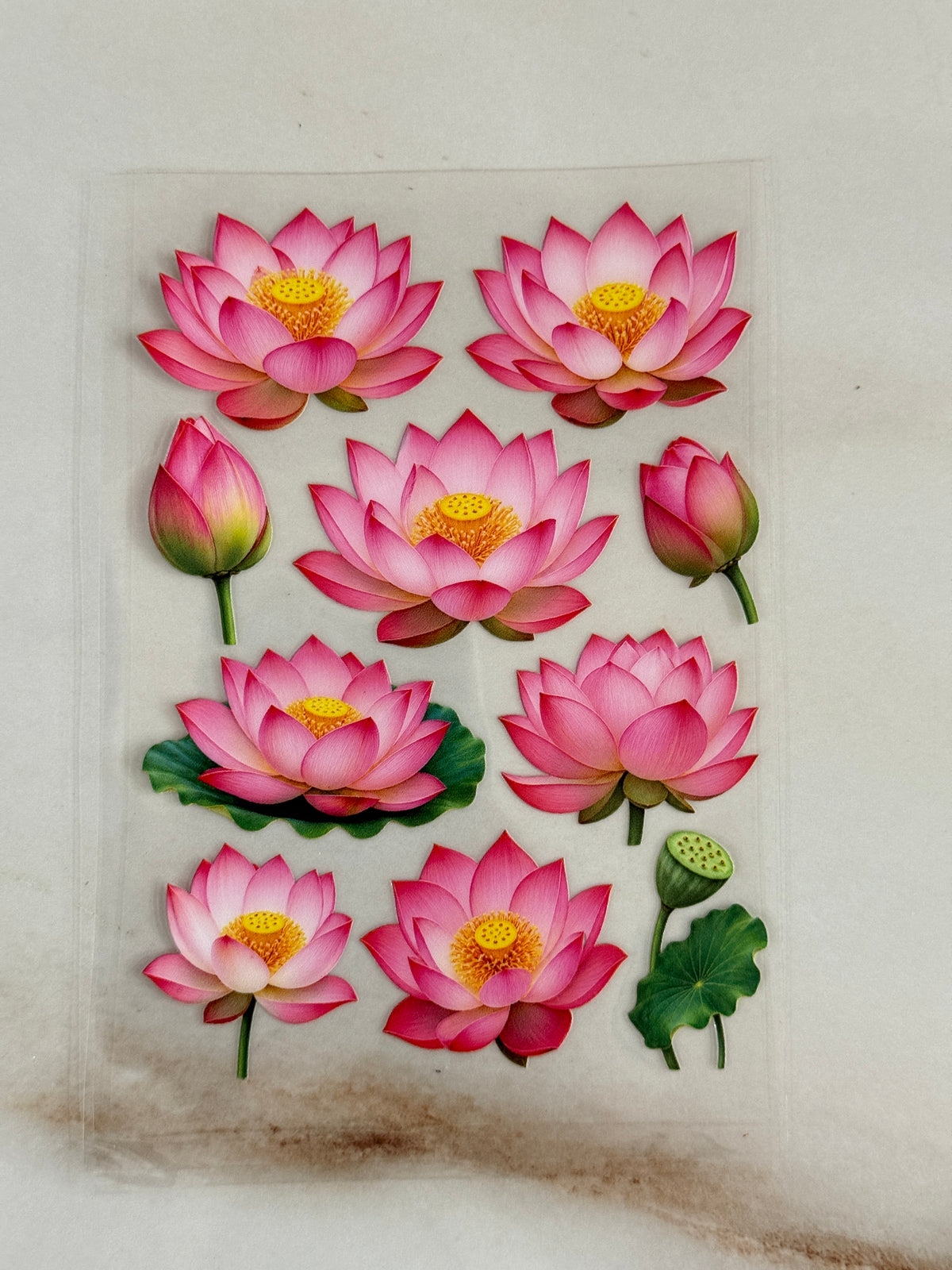 Lotus (6) - Peel Of Sticker