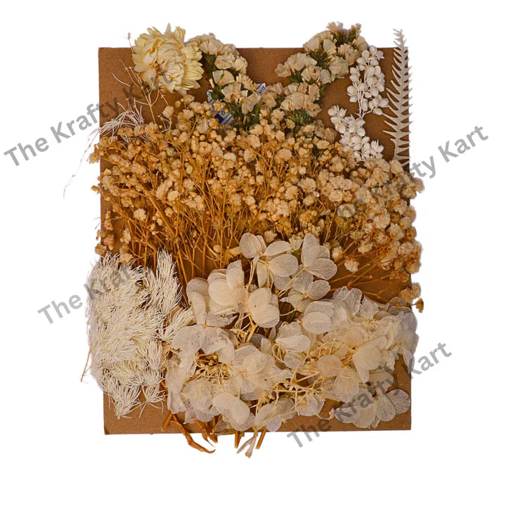 White Dry Flower Packet