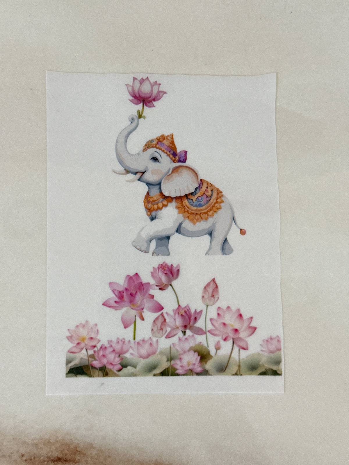 A6 Insert Sheet- Lotus (C)