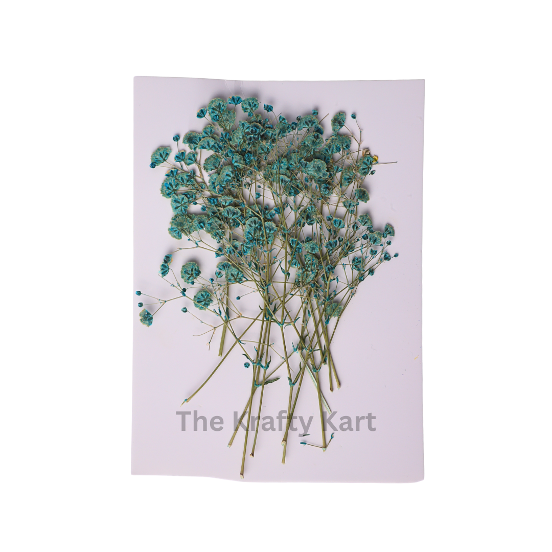 Baby Breath - Blue