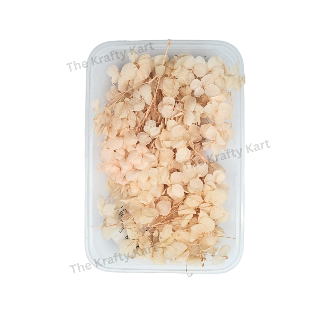Hydregans Flower Box (Peach)