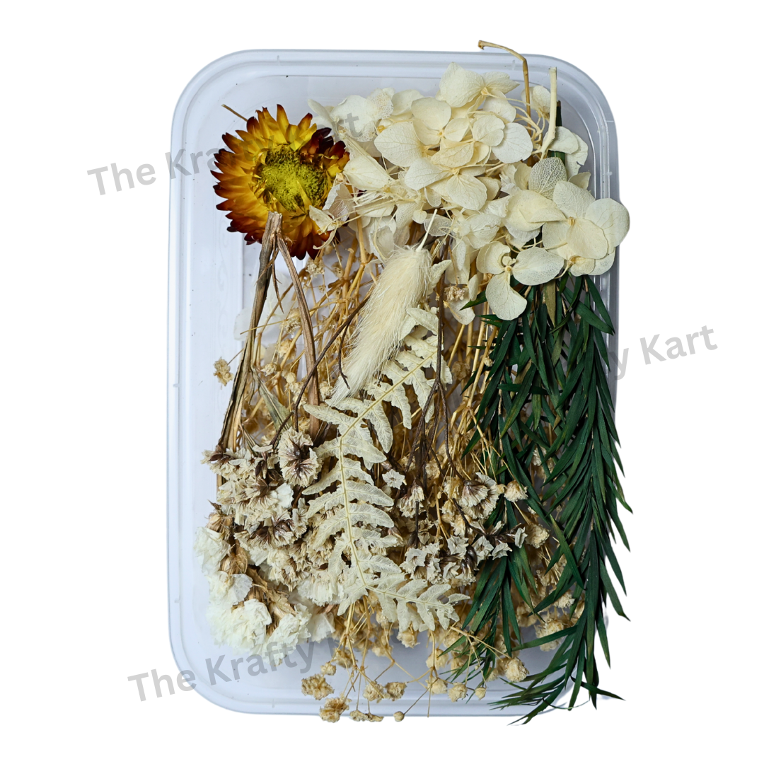 White Dry Flower Box