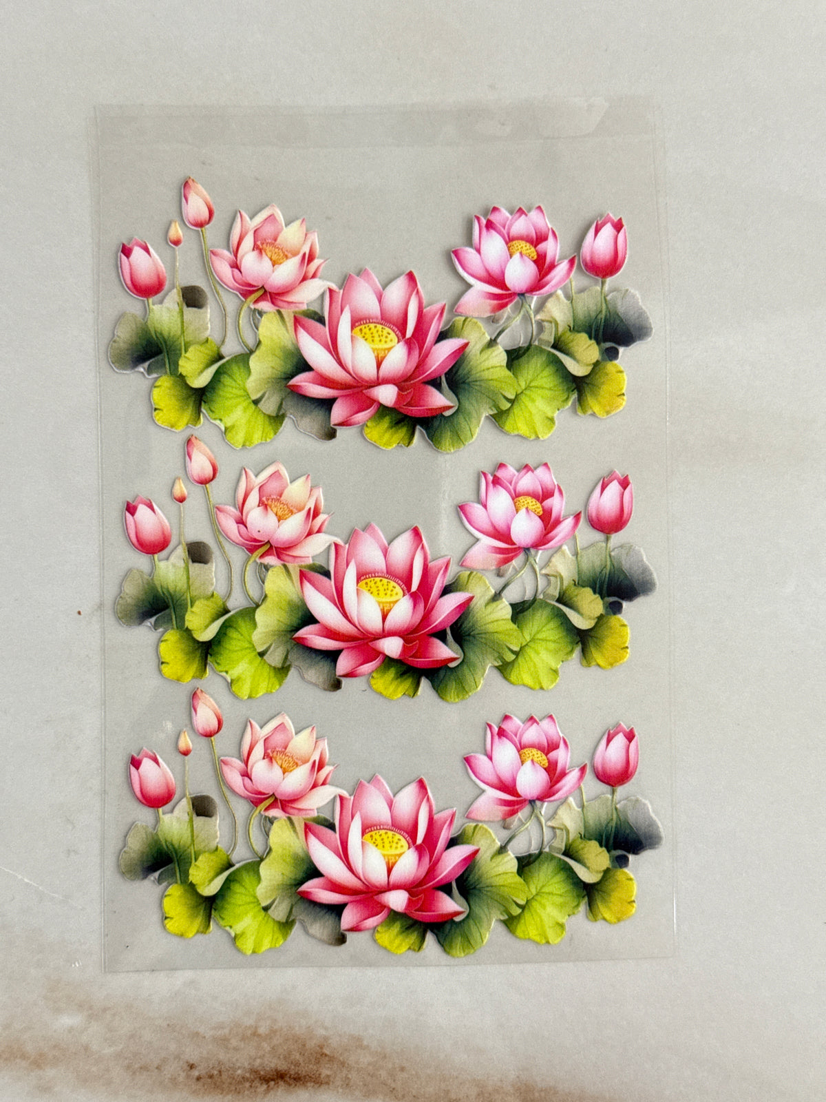 Lotus (S) - Peel Of Sticker