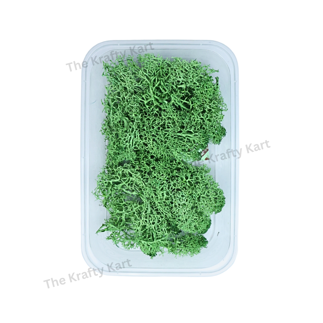 Moss Box