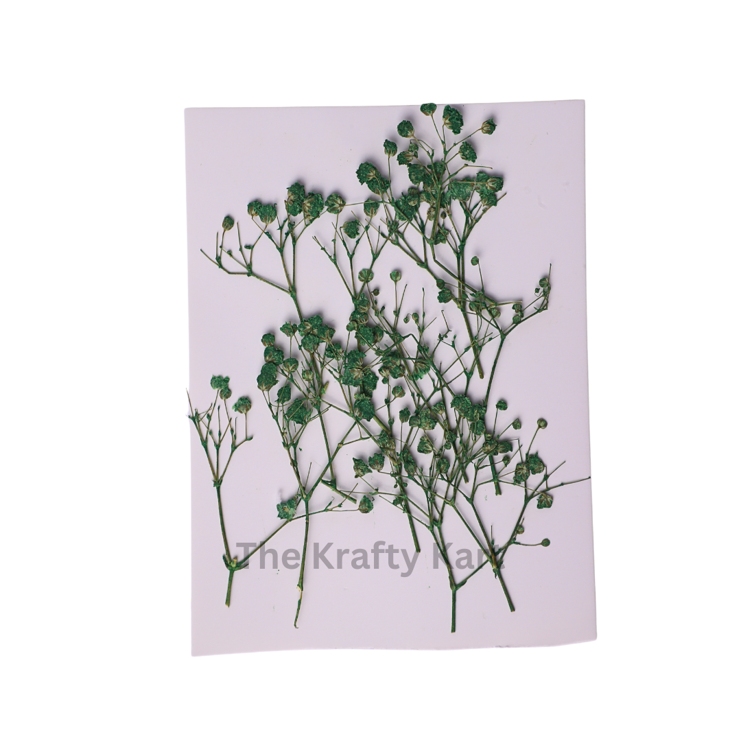 Baby Breath - Green