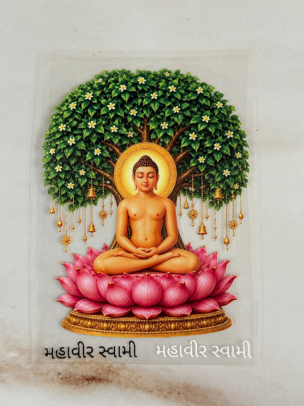 Jain (D) - Peel Of Sticker