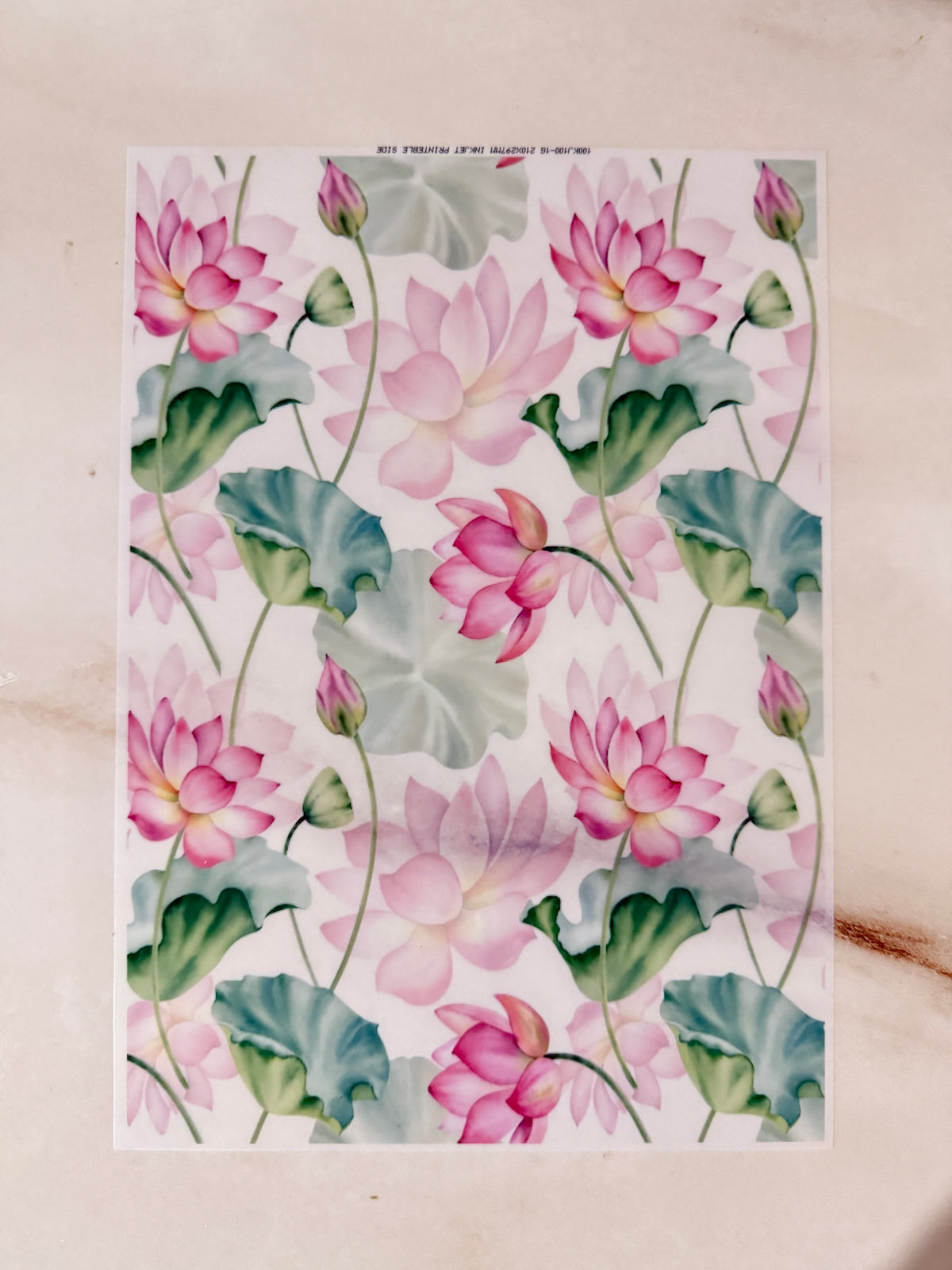 A4 Insert Sheet - Lotus (H)