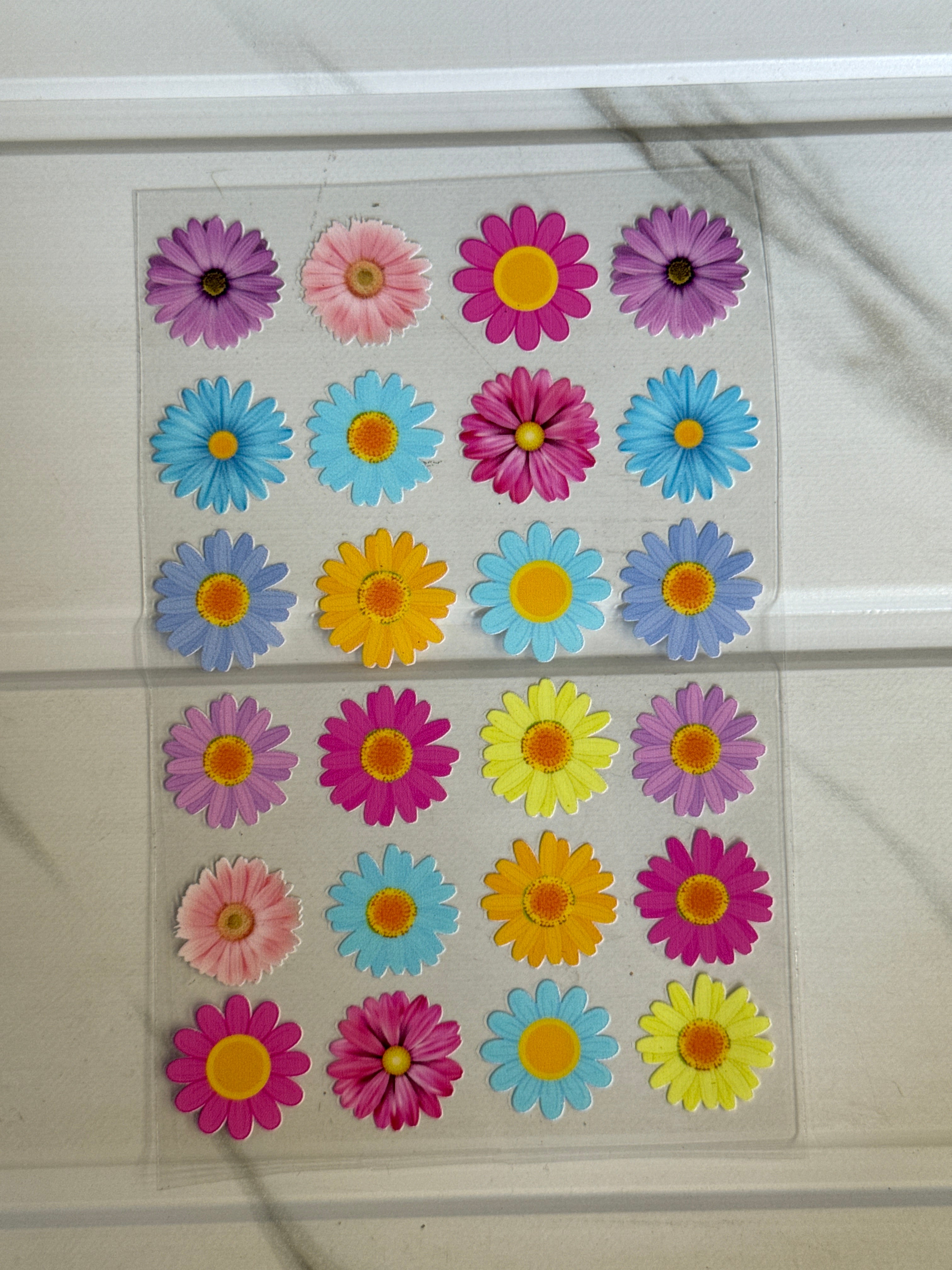 Colourful Daisy - Peel Of Sticker