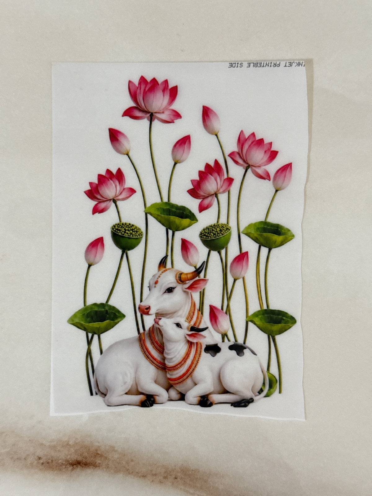 A6 Insert Sheet- Lotus (E)