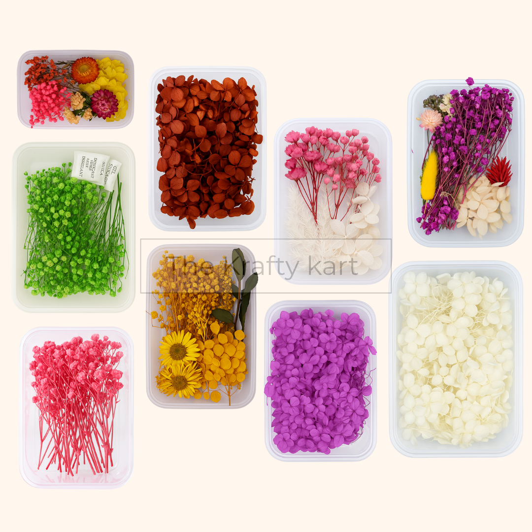 Dry Flower Box