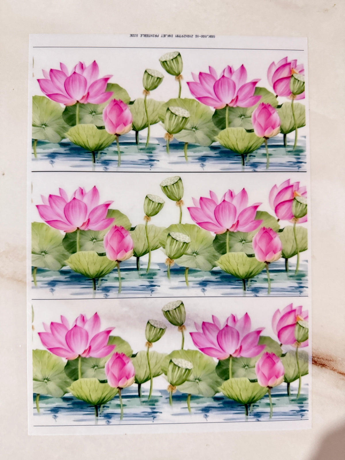 A4 Insert Sheet - Lotus (B)