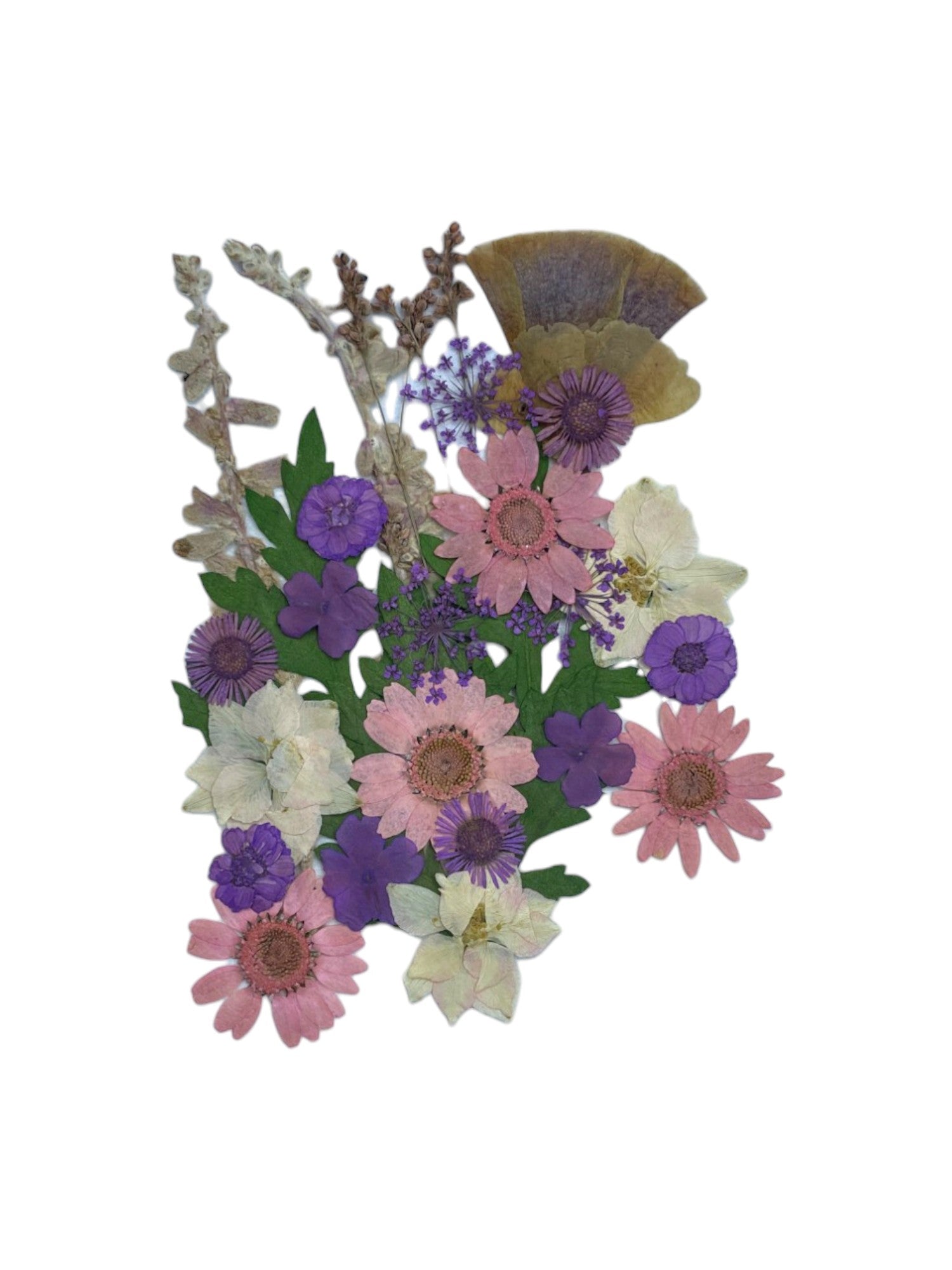 Pressed Flower 2