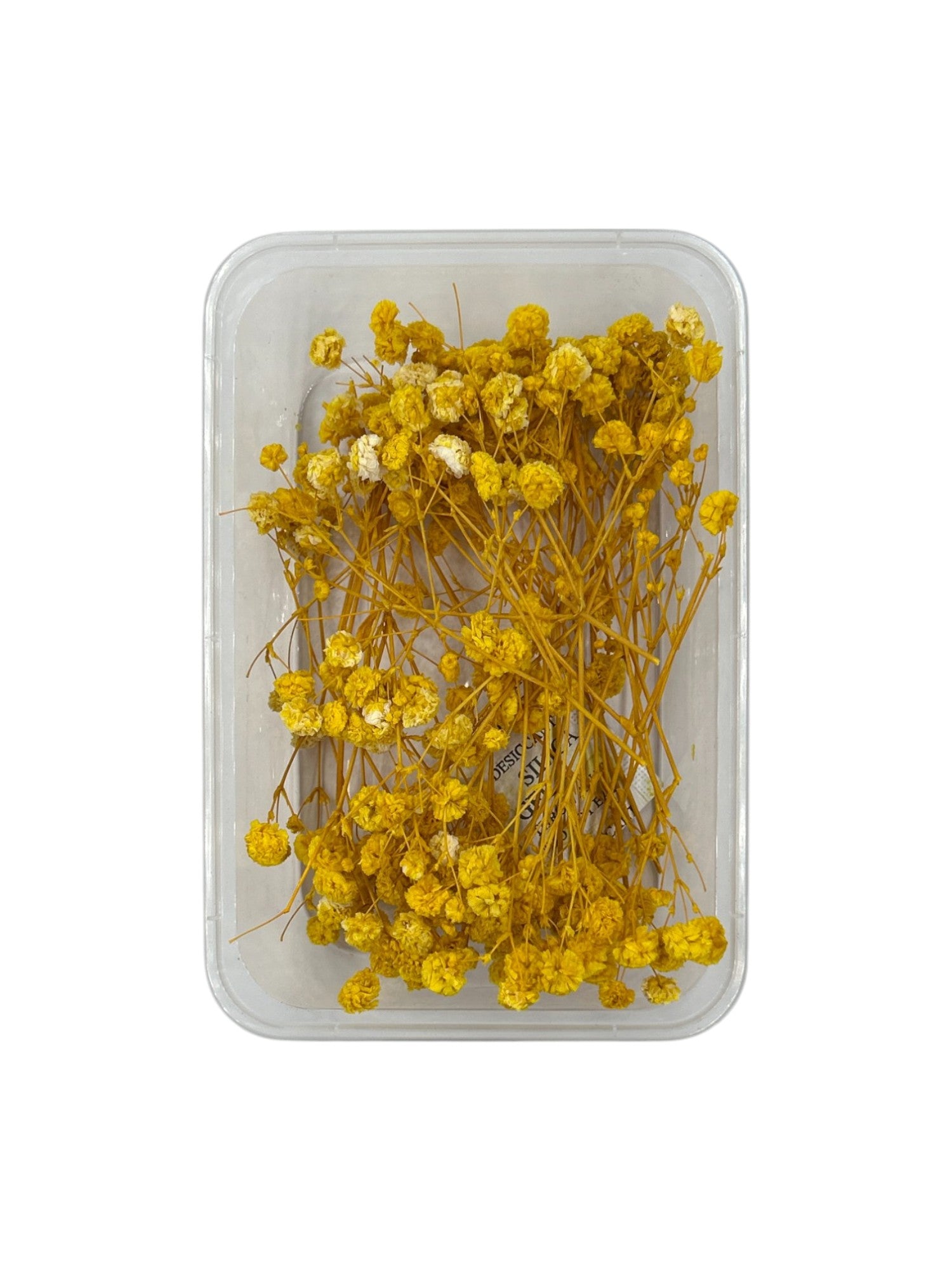 GYPSY DRY FLOWER BOX (YELLOW)