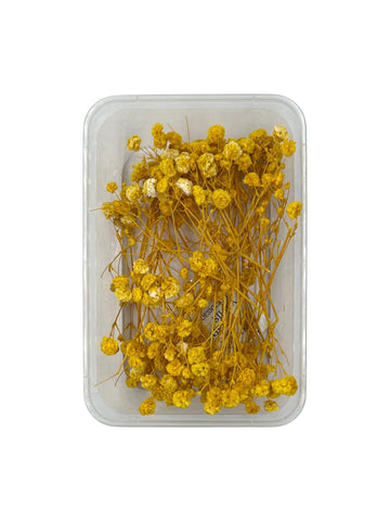 GYPSY DRY FLOWER BOX (YELLOW)