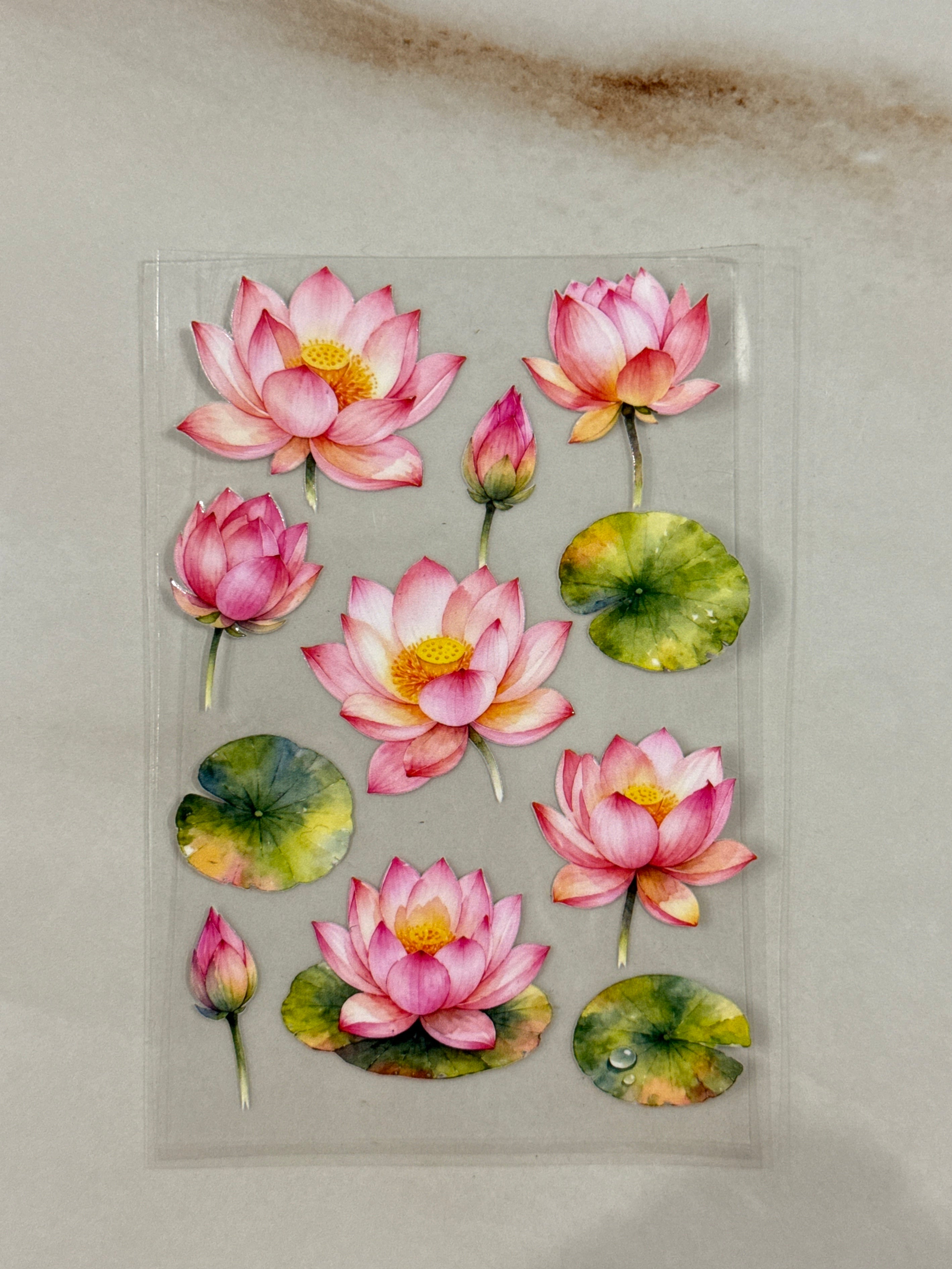 Lotus (Q) - Peel Of Sticker