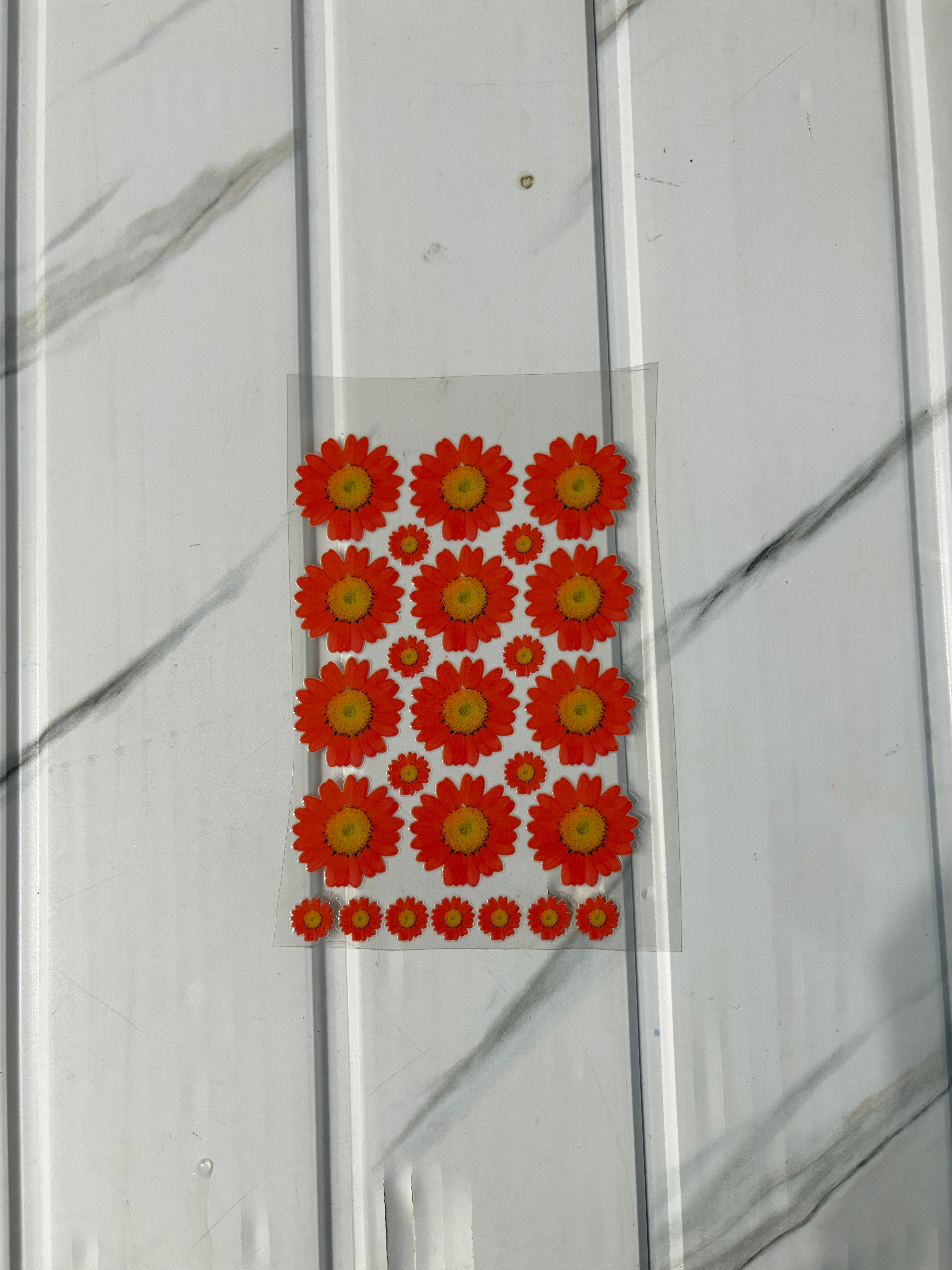 Orange Daisy - Peel Of Sticker
