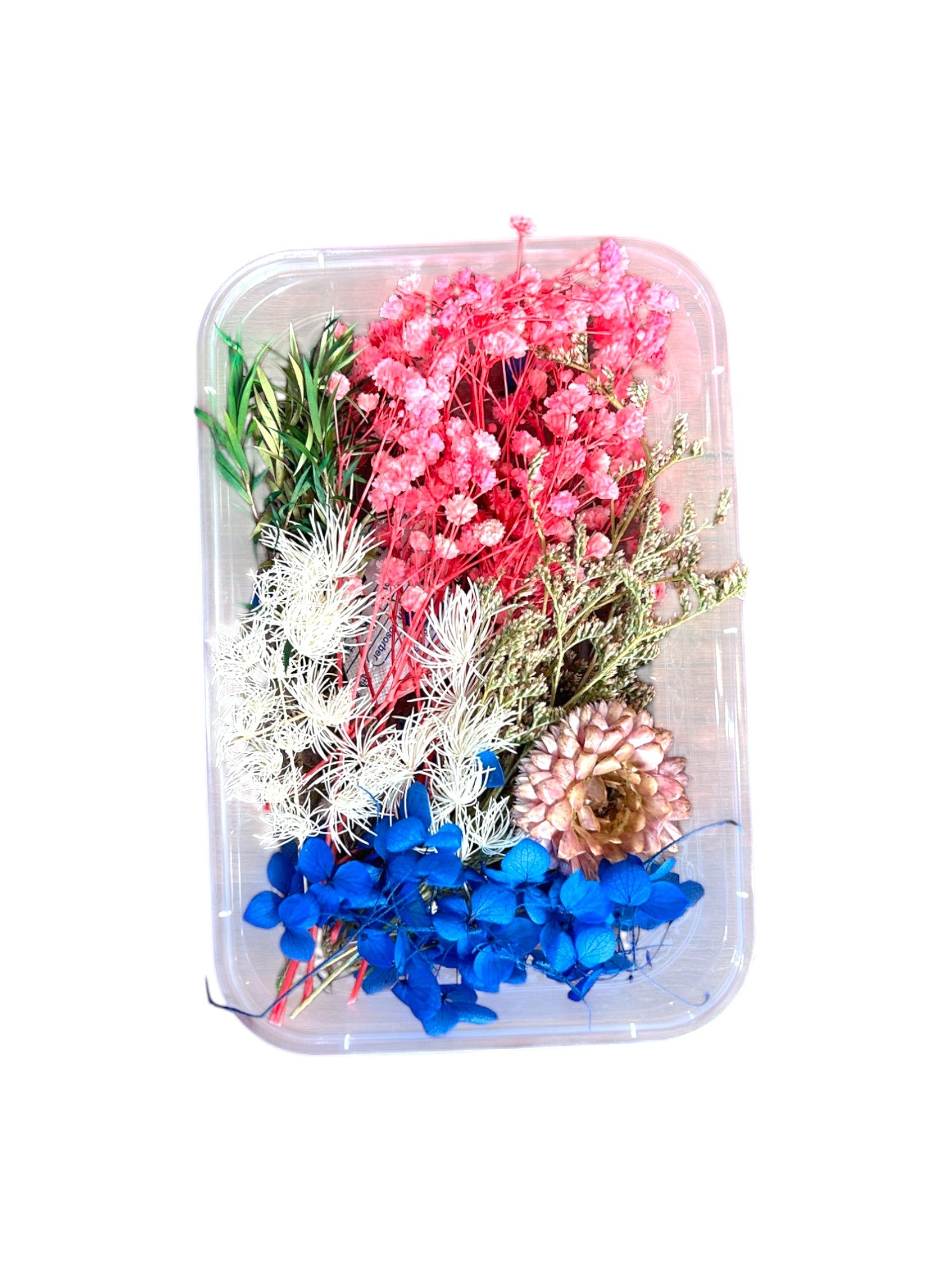 DRY FLOWER BOX (H)