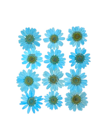 DAISY FLOWER - AQUAMARINE